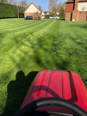 Countax garden tractor leaves stripes